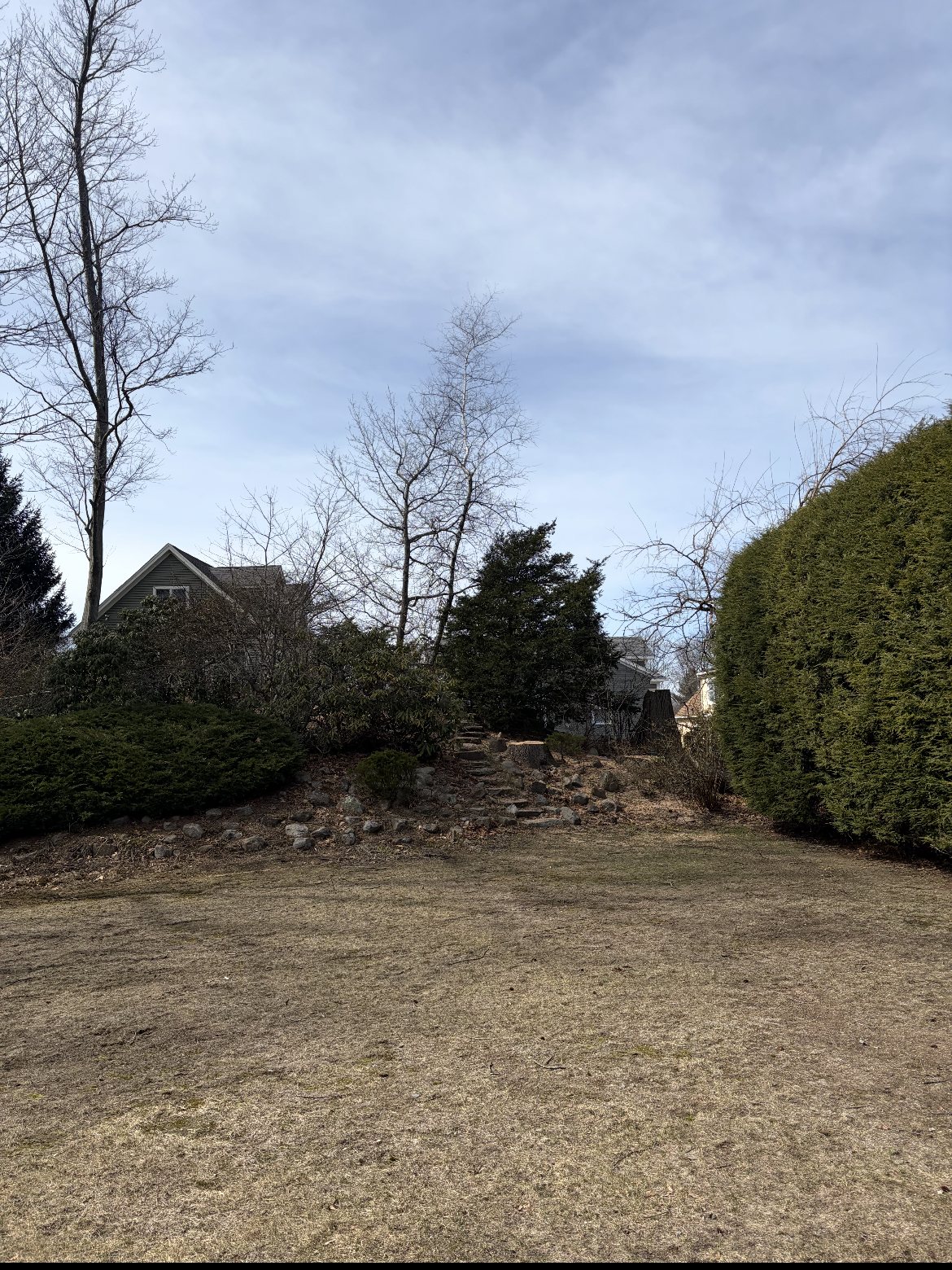 Finished, cleaned-up yard after a tree job in Hudson, MA