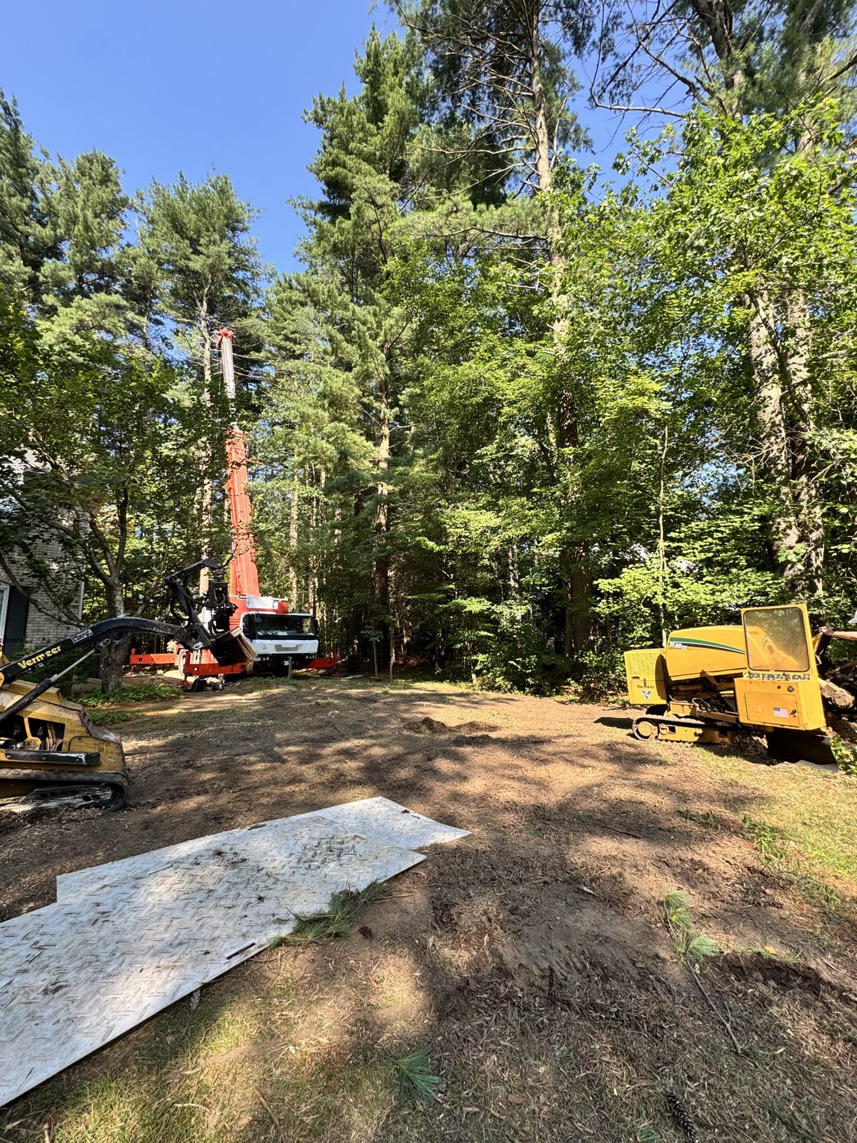 Tree Sons crane, lift and chipper on a job site