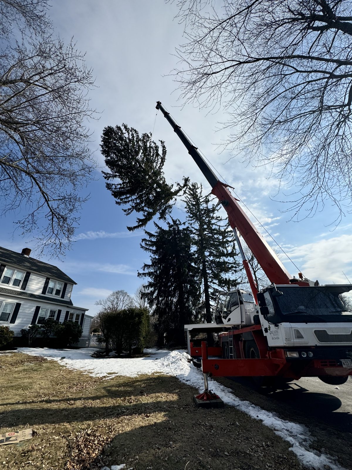Tree Sons crane hoisting a full tree off the ground in winter