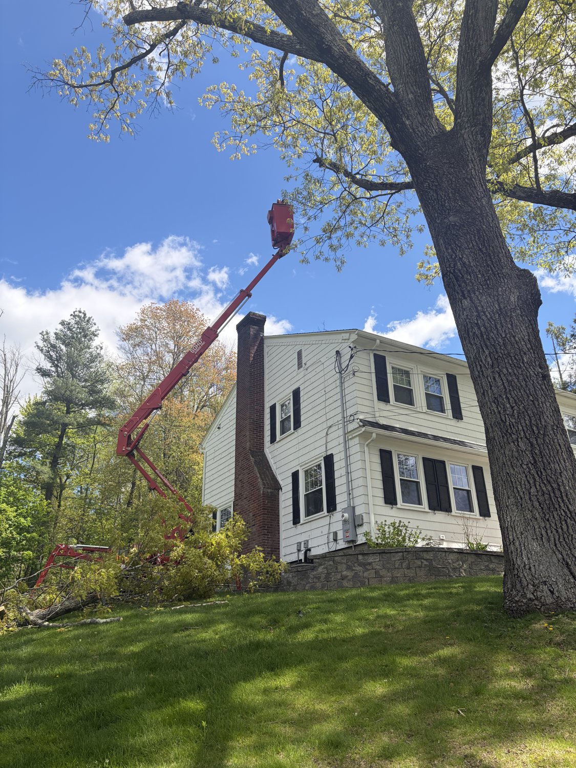 Tree Sons bucket lift reaching into a tall tree next to a home