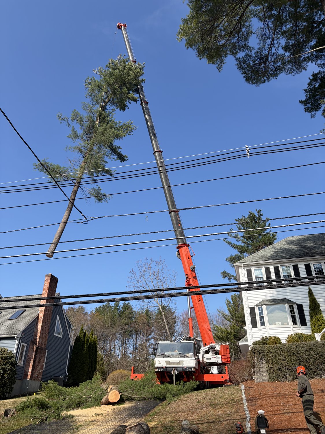 Crane removing a tree beside power lines with logs stacked on the lawn
