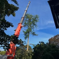 Cleared stump and yard area after a tree removal job in Central Massachusetts