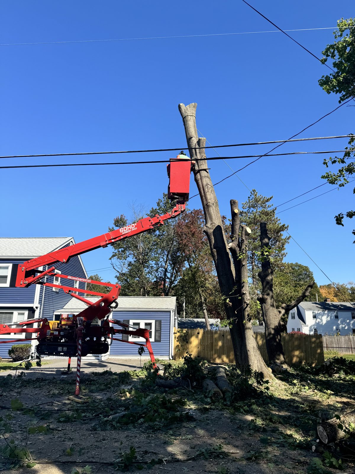 Tree Sons operator trimming a limb from an aerial lift near power lines