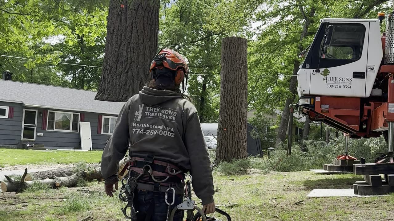 Crane-assisted storm tree removal on a Grafton, MA property